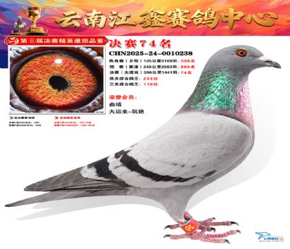 »Ȱ���ξ���74��