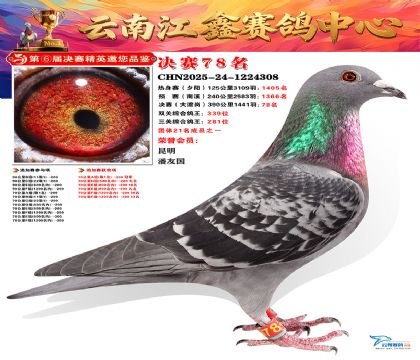 »Ȱ���ξ���78��