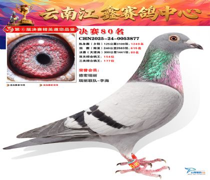 »Ȱ���ξ���80��