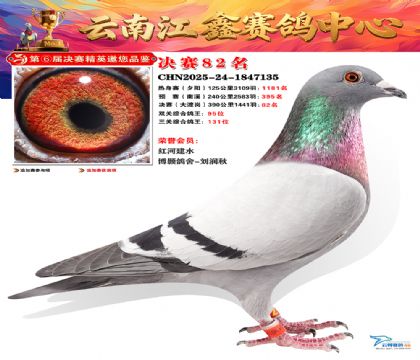 »Ȱ���ξ���82��