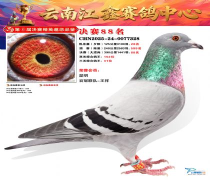 »Ȱ���ξ���88��