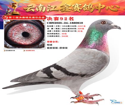 »Ȱ���ξ���92��