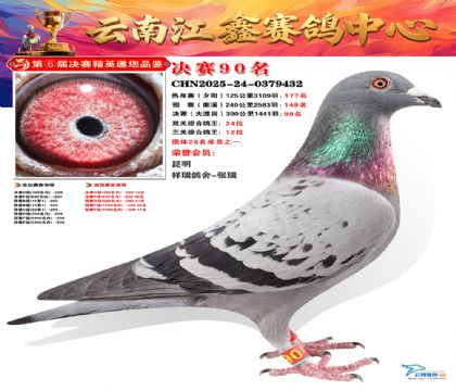 »Ȱ���ξ���90��