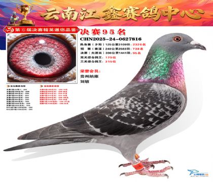 »Ȱ���ξ���95��