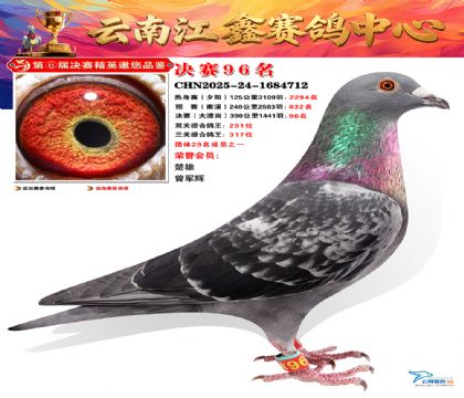 »Ȱ���ξ���96��