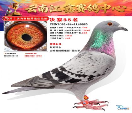 »Ȱ���ξ���98��