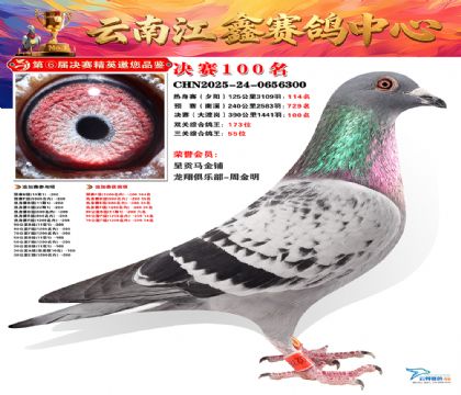 »Ȱ���ξ���100��