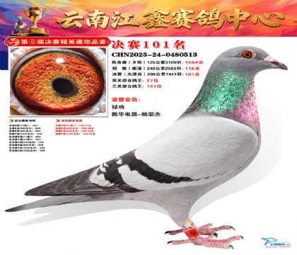 »Ȱ���ξ���101��