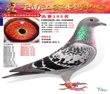 »Ȱ���ξ���105��