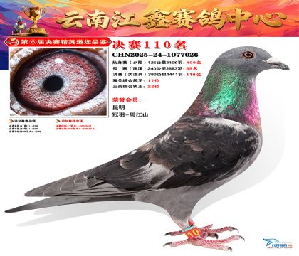 »Ȱ���ξ���110��