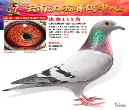 »Ȱ���ξ���113��