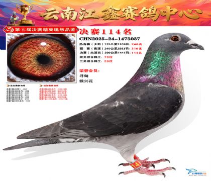 »Ȱ���ξ���114��