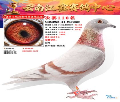 »Ȱ���ξ���116��