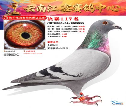 »Ȱ���ξ���117��