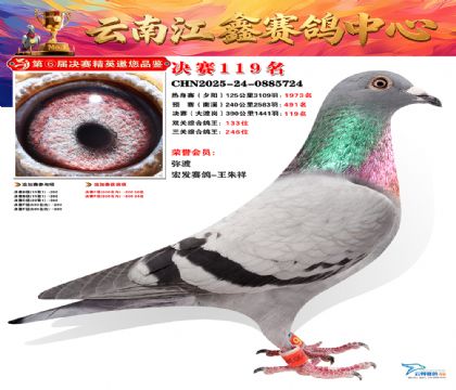 »Ȱ���ξ���119��