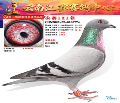 »Ȱ���ξ���121��