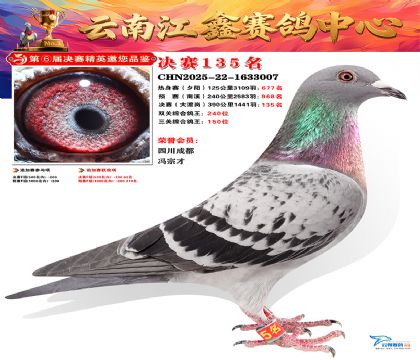 »Ȱ���ξ���135��