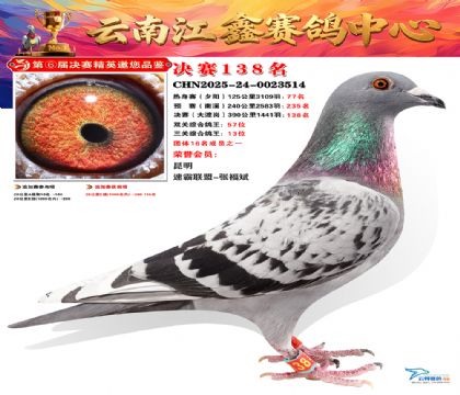 »Ȱ���ξ���138��