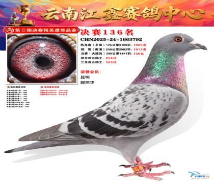 »Ȱ���ξ���136��