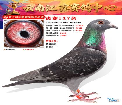 »Ȱ���ξ���137��