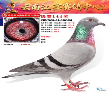 »Ȱ���ξ���144��