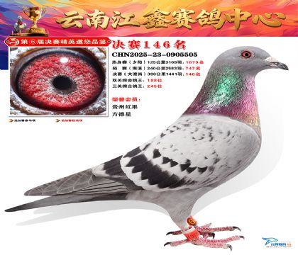 »Ȱ���ξ���146��