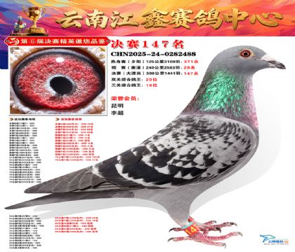 »Ȱ���ξ���147��