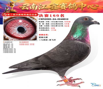 »Ȱ���ξ���160��