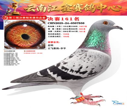 »Ȱ���ξ���161��