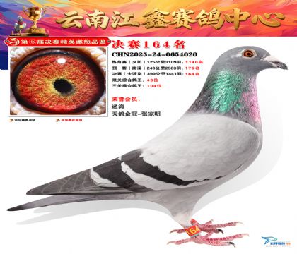 »Ȱ���ξ���164��