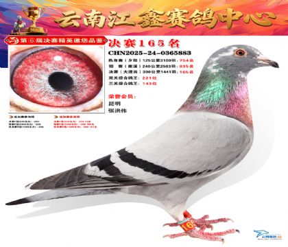 »Ȱ���ξ���165��