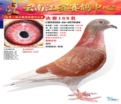 »Ȱ���ξ���168��