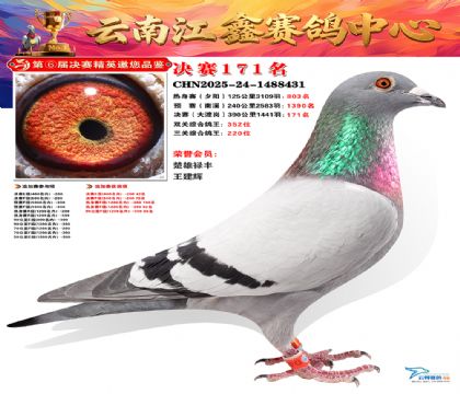 »Ȱ���ξ���171��