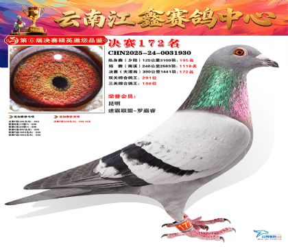 »Ȱ���ξ���172��