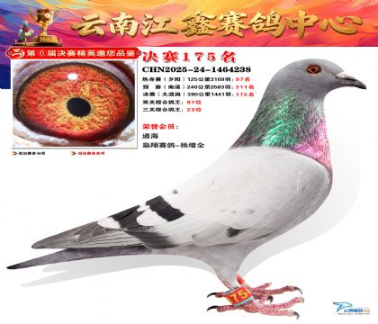 »Ȱ���ξ���175��