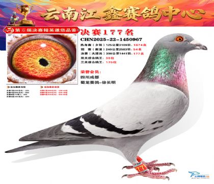 »Ȱ���ξ���177��