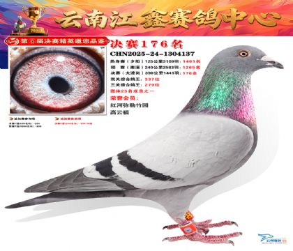 »Ȱ���ξ���176��