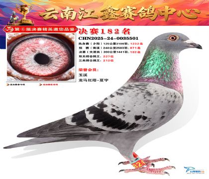 »Ȱ���ξ���182��