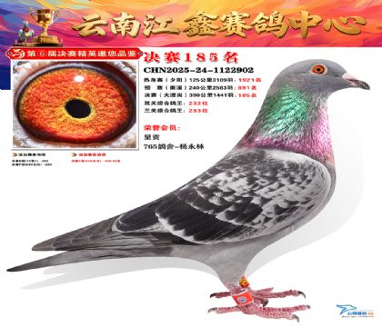 »Ȱ���ξ���185��