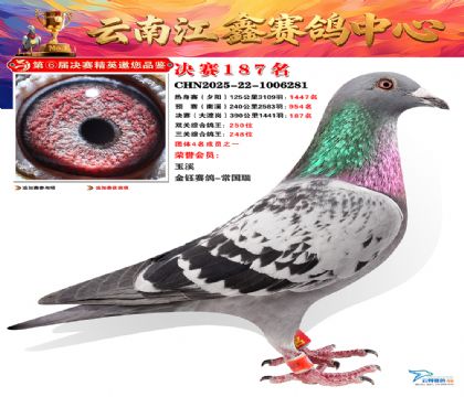 »Ȱ���ξ���187��