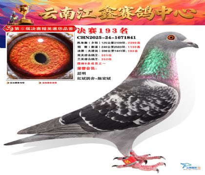 »Ȱ���ξ���193��