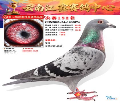 »Ȱ���ξ���192��