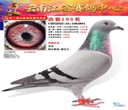 »Ȱ���ξ���195��