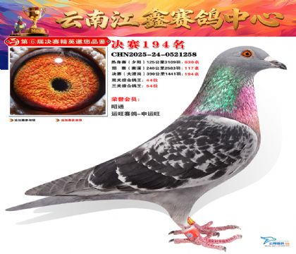 »Ȱ���ξ���194��