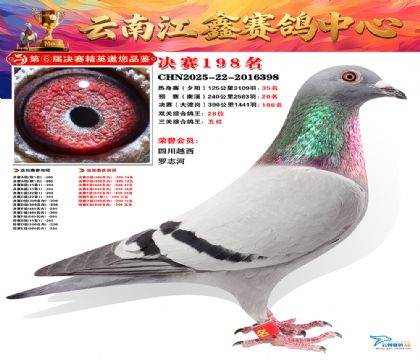 »Ȱ���ξ���198��