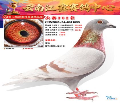 »Ȱ���ξ���302��