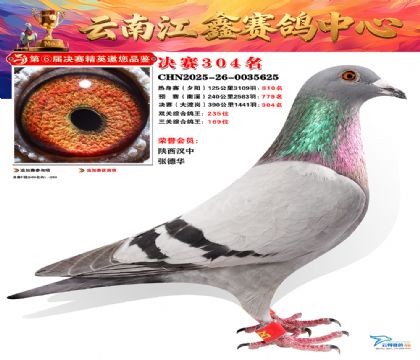 »Ȱ���ξ���304��