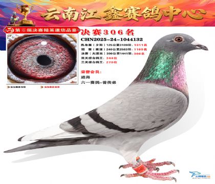 »Ȱ���ξ���306��