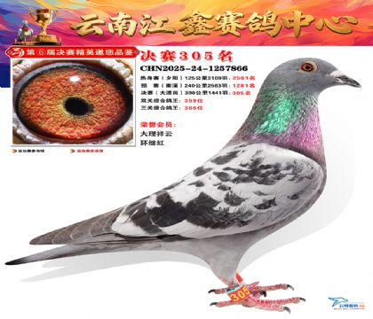 »Ȱ���ξ���305��