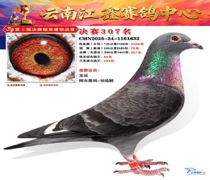 »Ȱ���ξ���307��